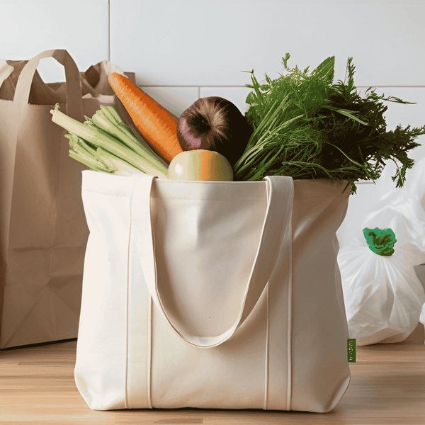 Paper, Plastic, or Reusable Bags: Which Is the Most Sustainable?