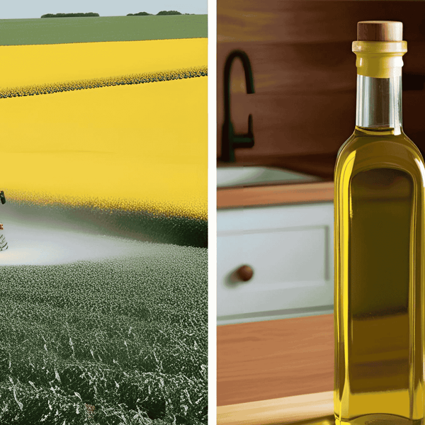 The Environmental Impact of Canola Oil: What You Should Know