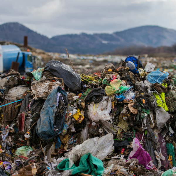 The Hidden Sources of Microplastics in Everyday Cooking (And How to Reduce Them)